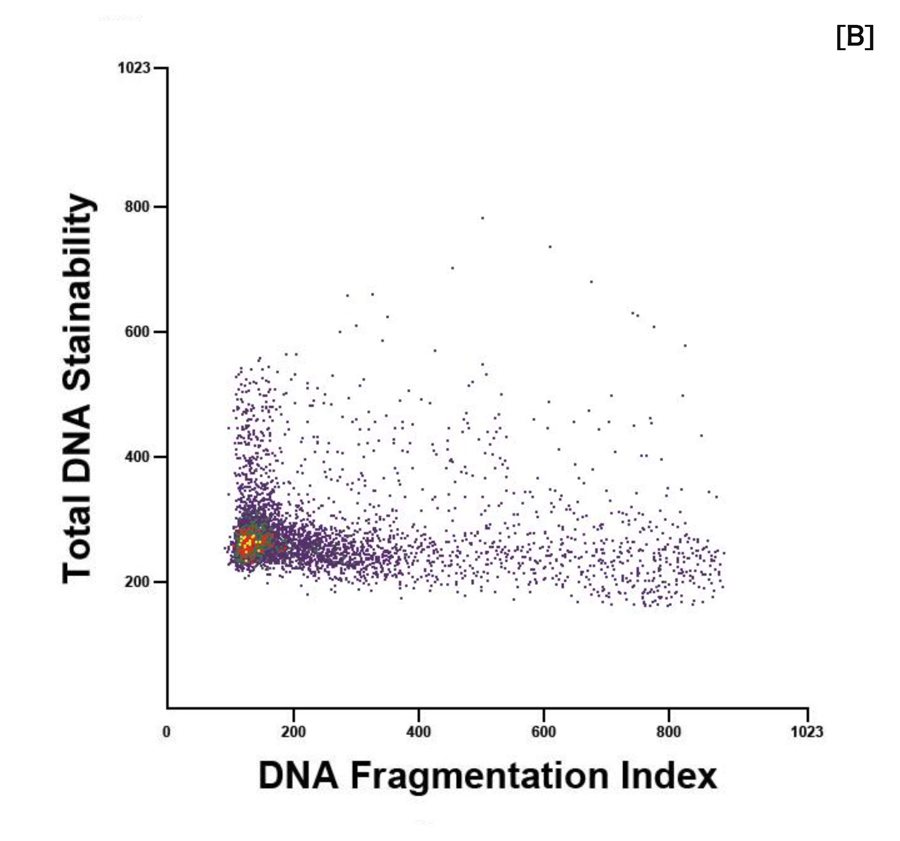 Durchflusszytometrie-Diagramm mit hoher DNA-Fragmentierung